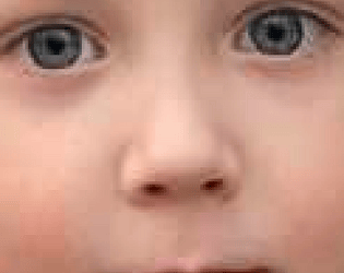 Escape from the kindergarten