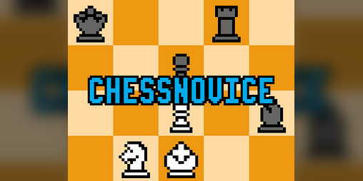 Cover image for Chessnovice