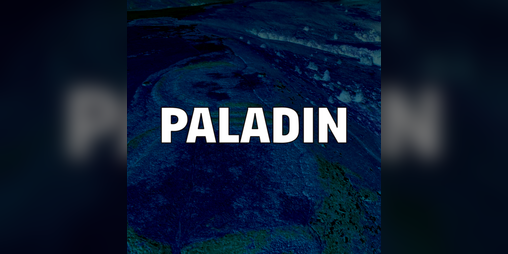 Cover image for Paladin