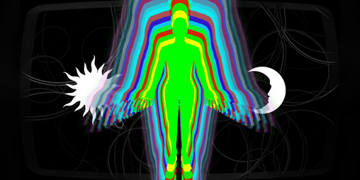 Cover image for Futile Effort