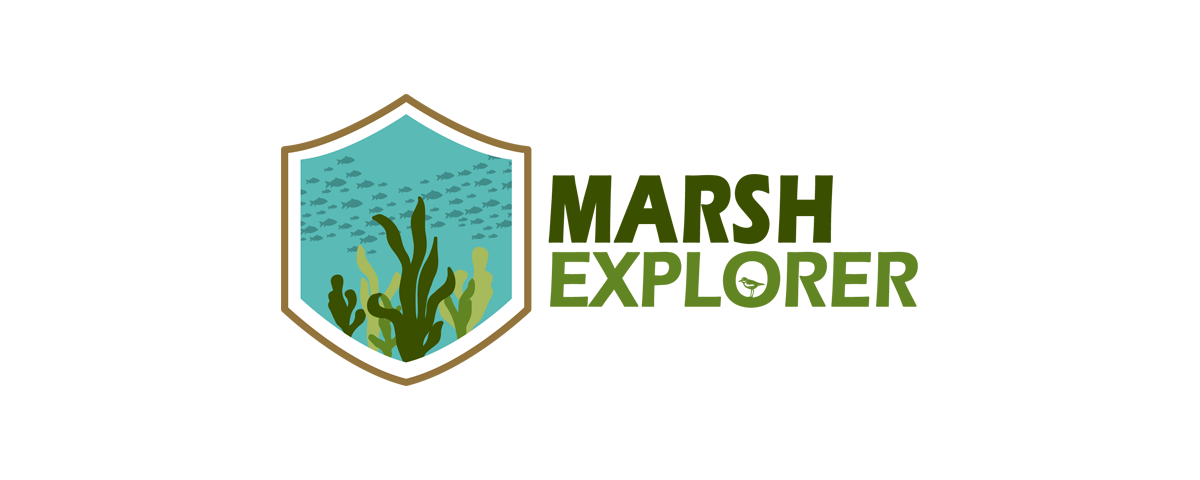 Marsh Explorer