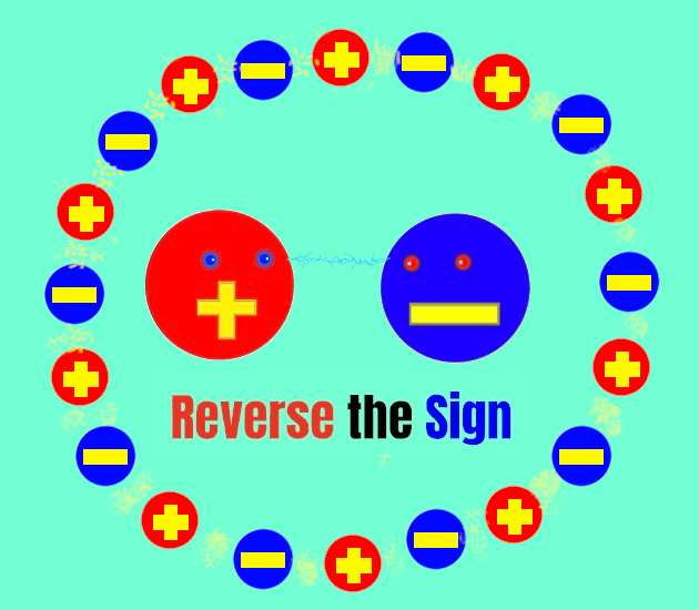 Cover image for Reverse the Sign