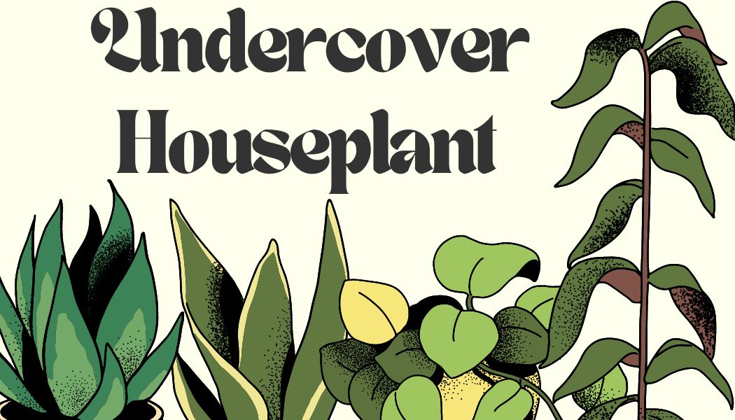 Undercover Houseplant