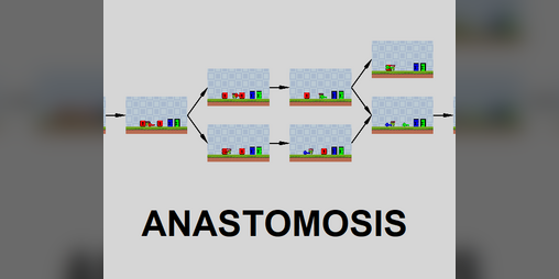 Cover image for Anastomosis (Draft)