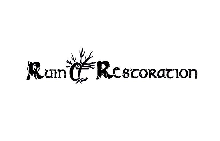 Cover image for Ruin & Restoration