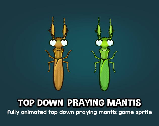 Top down praying mantis by Robert Brooks