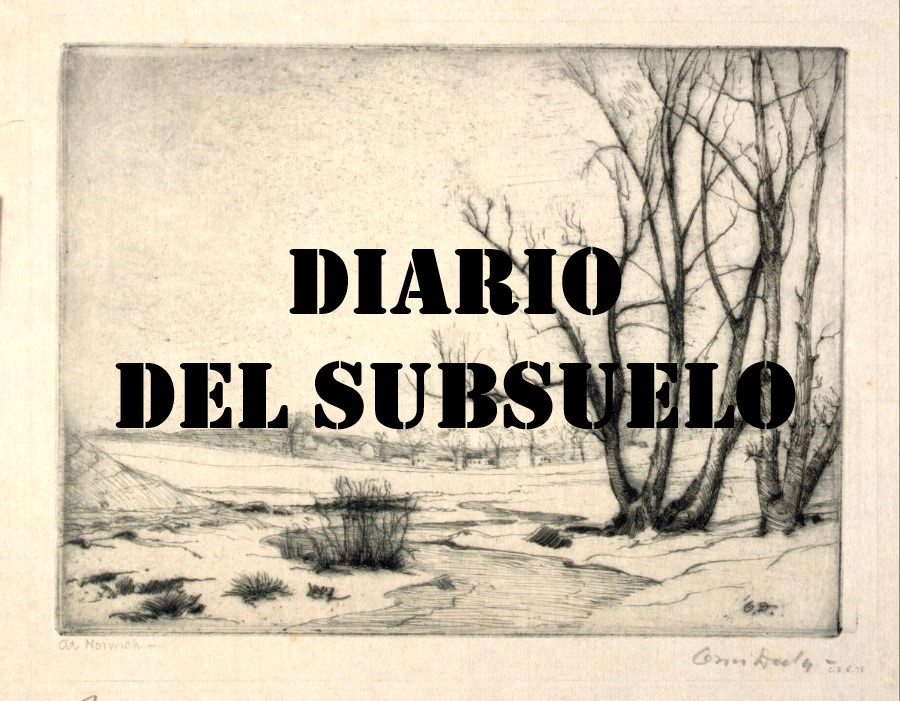 Portada de Diario del Subsuelo