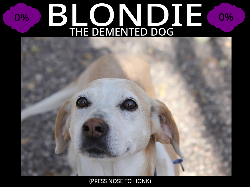 Blondie the Demented Dog