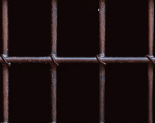 Bilibid