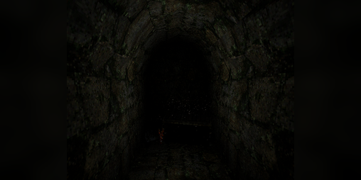 Cover image for The Tunnel