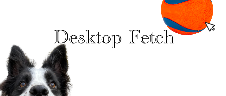Desktop Fetch