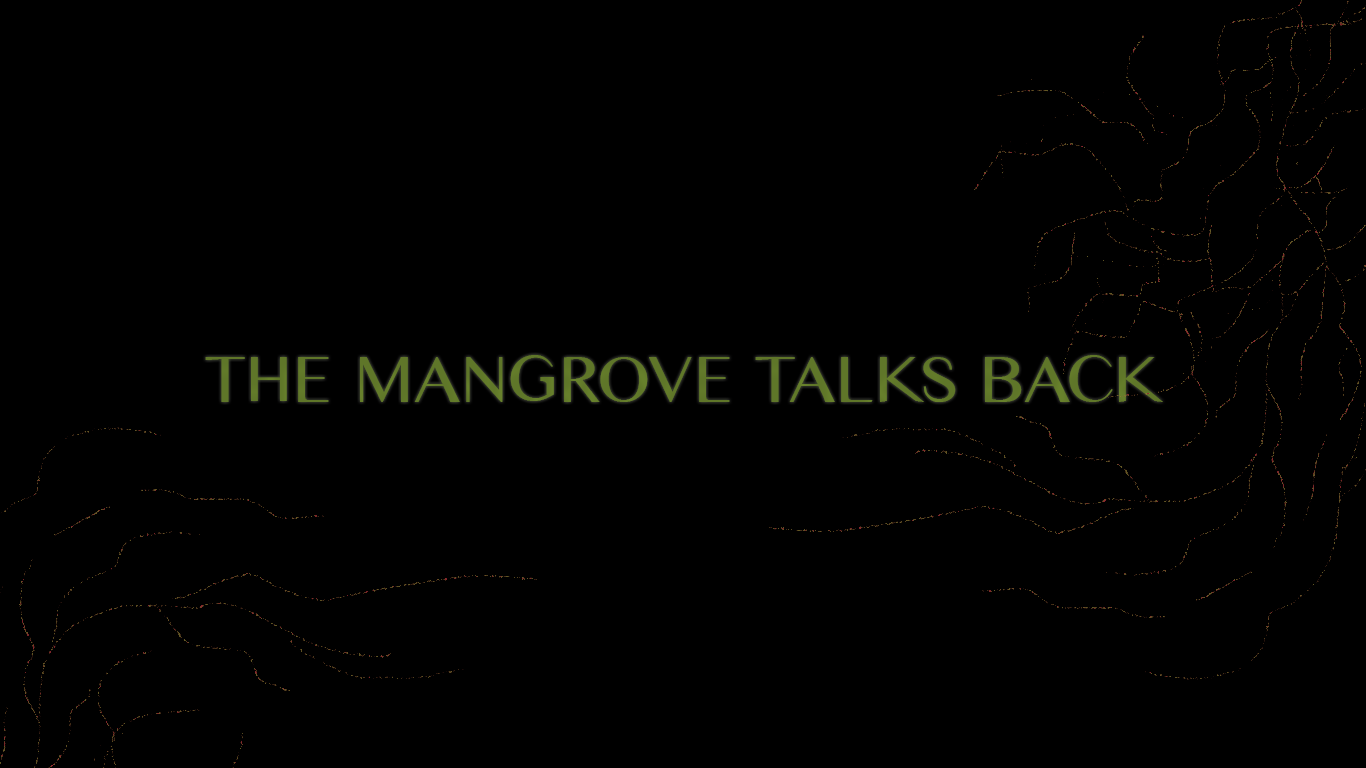 the mangrove talks back