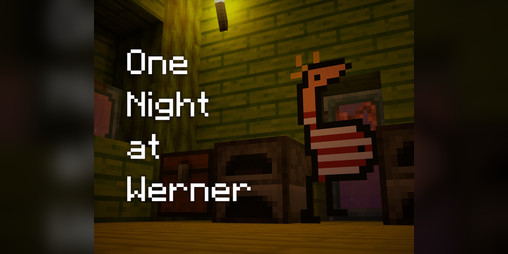Cover image for One Night at Werner