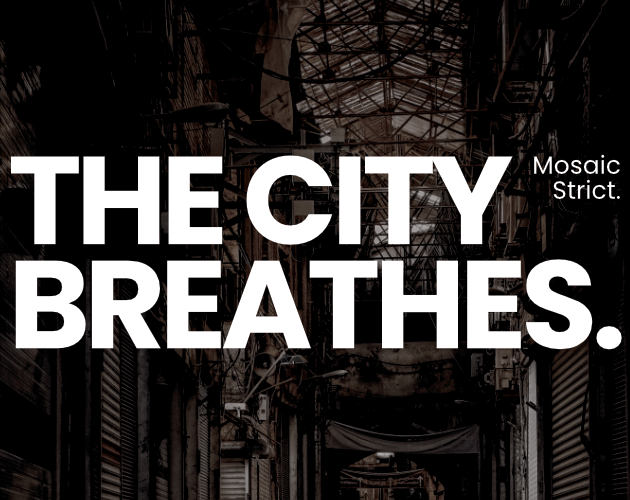 Cover image for The City Breathes.