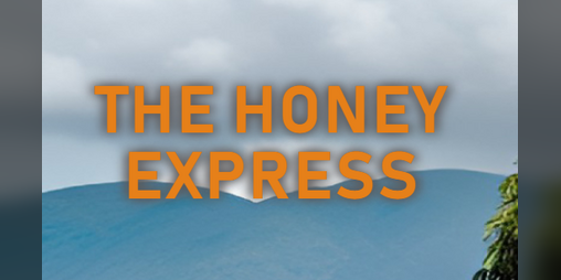 Cover image for The Honey Express