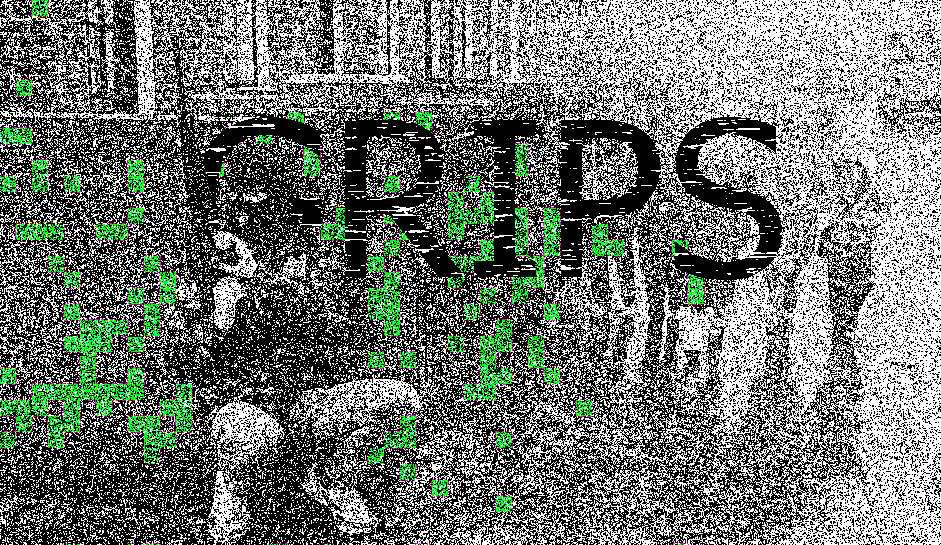GRIPS
