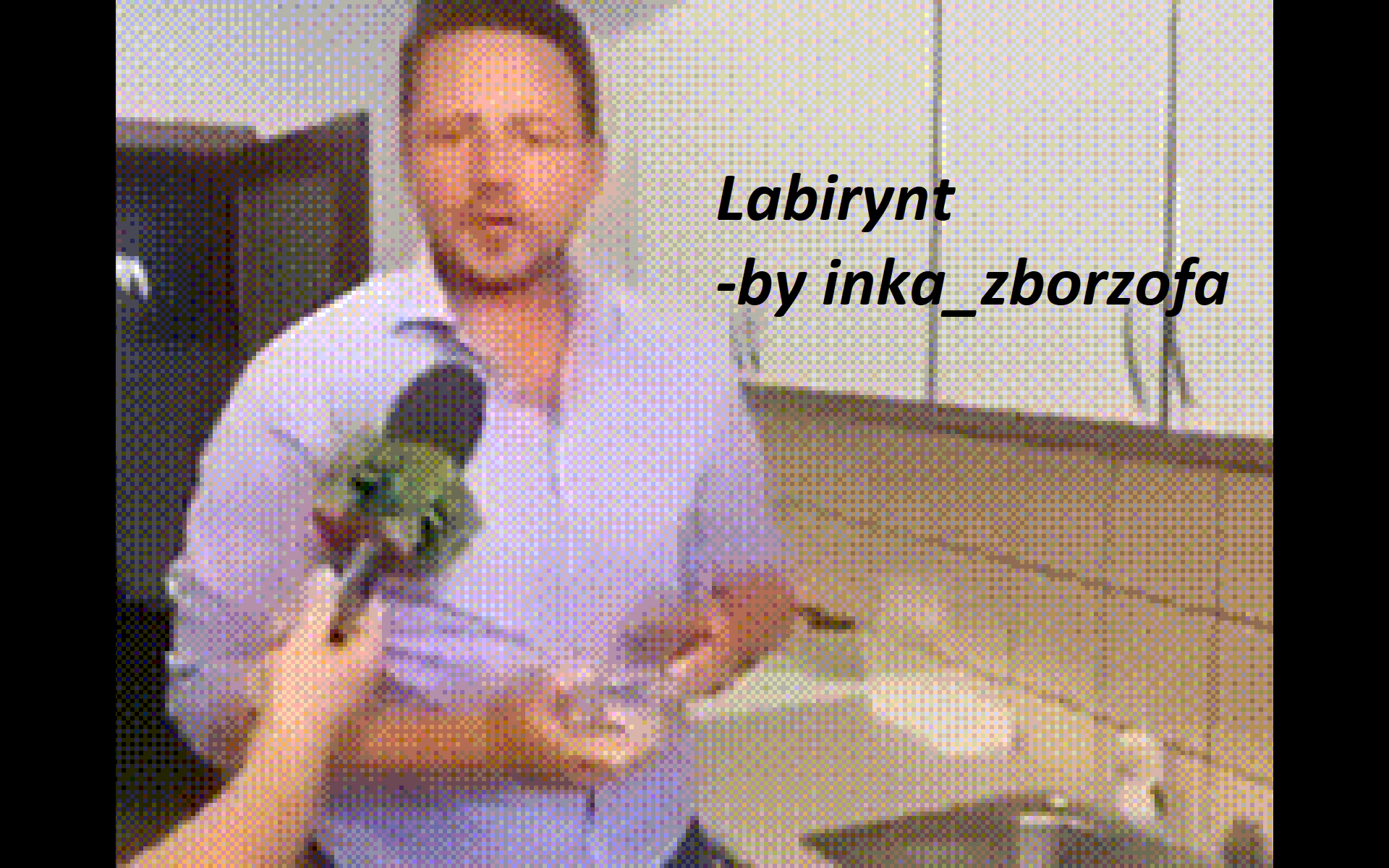 labirynt