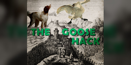 Cover image for The goose hack