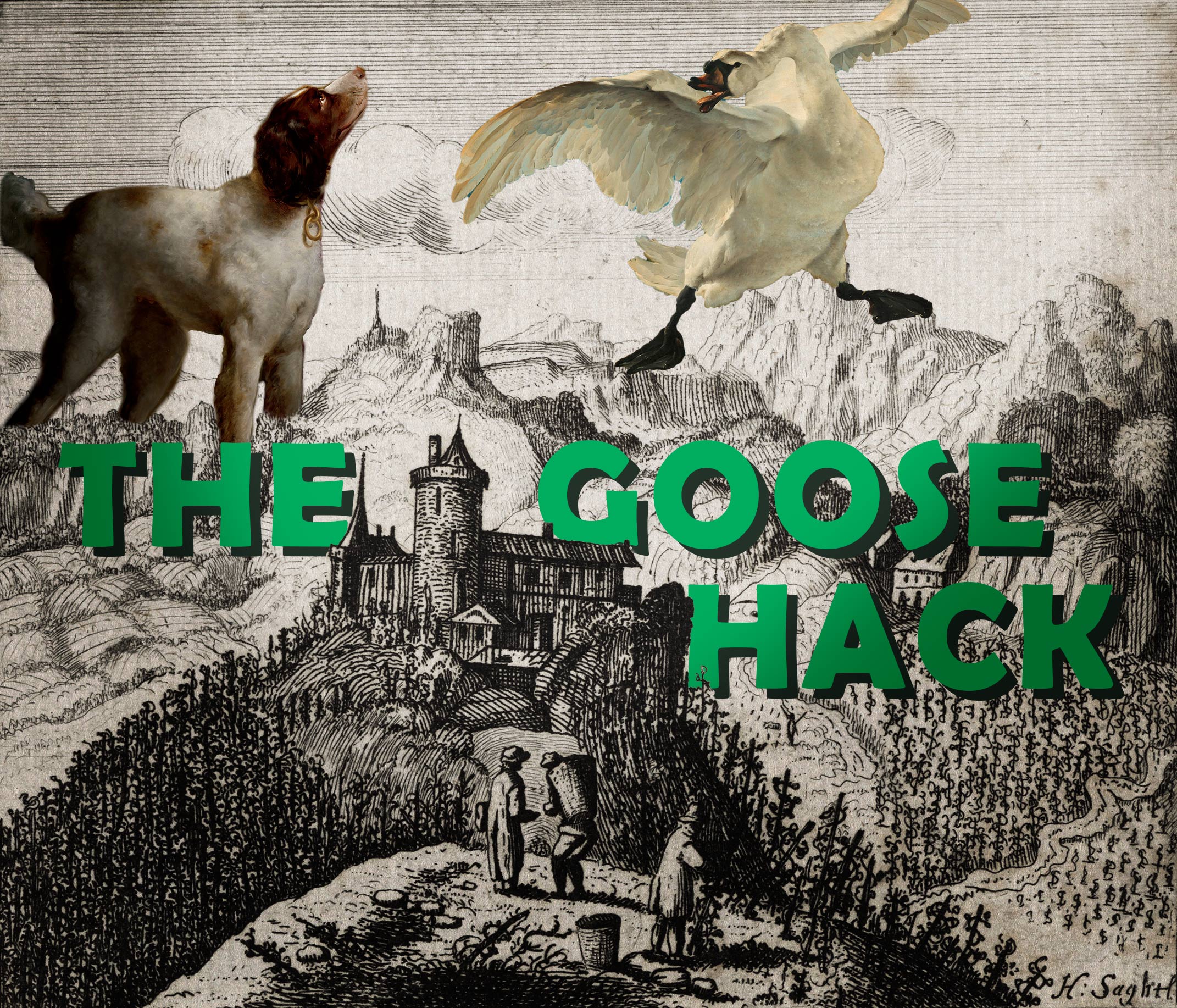 Cover image for The goose hack