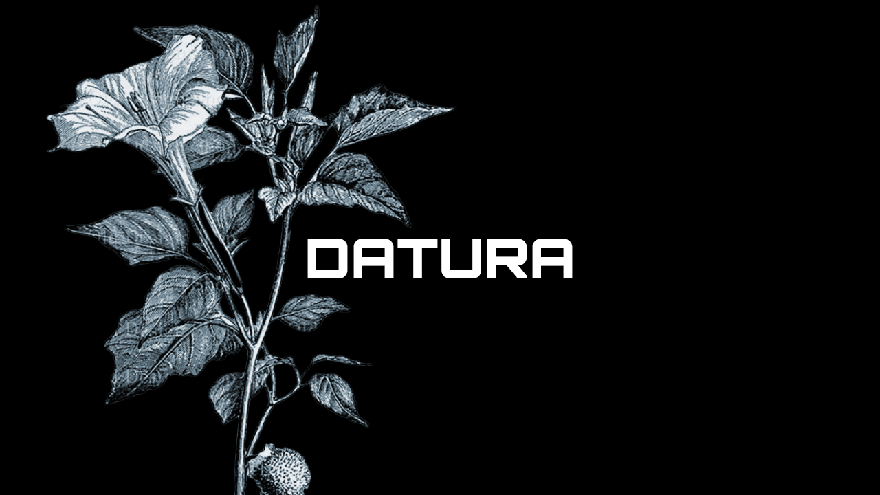 Datura (GGJ2023 DEMO)