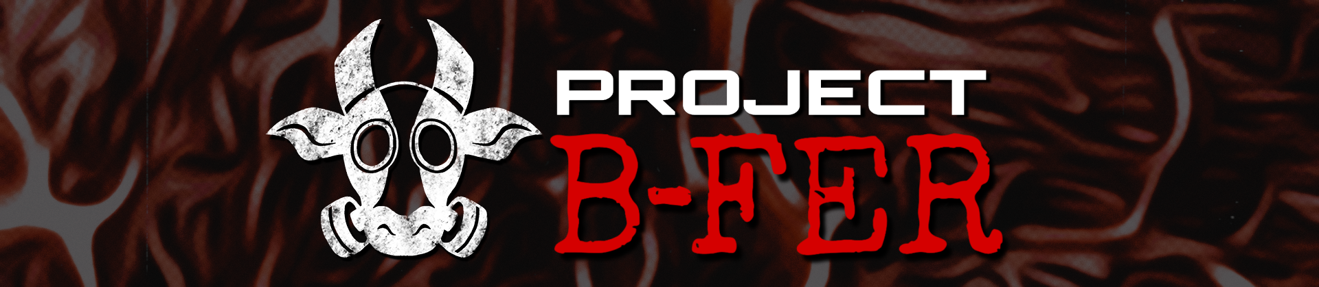 Project B-FER