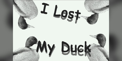 Cover image for I Lost My Duck
