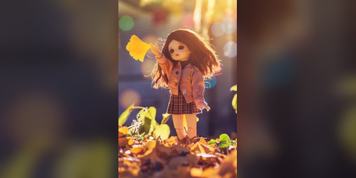 Cover image for Dream Doll Dissection
