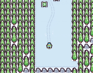 Cover image for Born to Ski