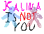 Cover image for Kalina is not You