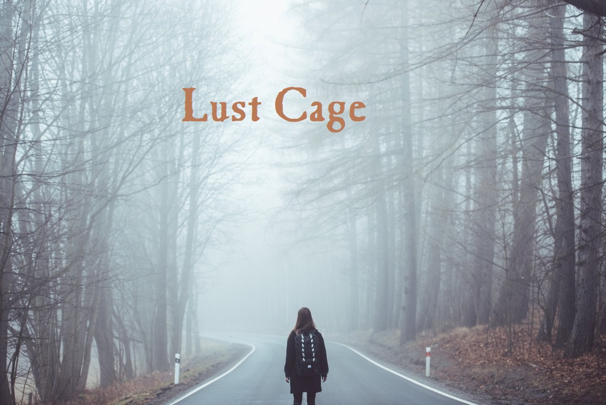 Cover image for Lust Cage 0.2.1