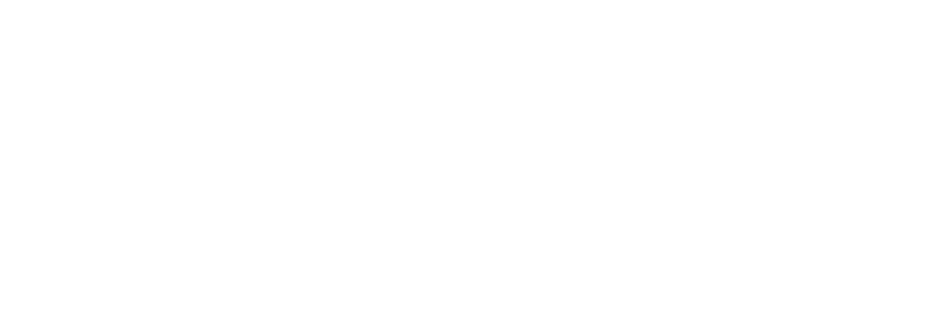 Budi : A Life Odyssey