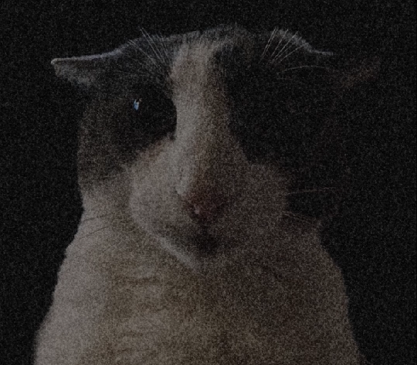 Five Nights at Soggy's