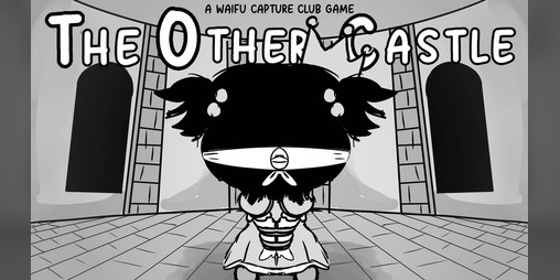 Cover image for THE OTHER CASTLE