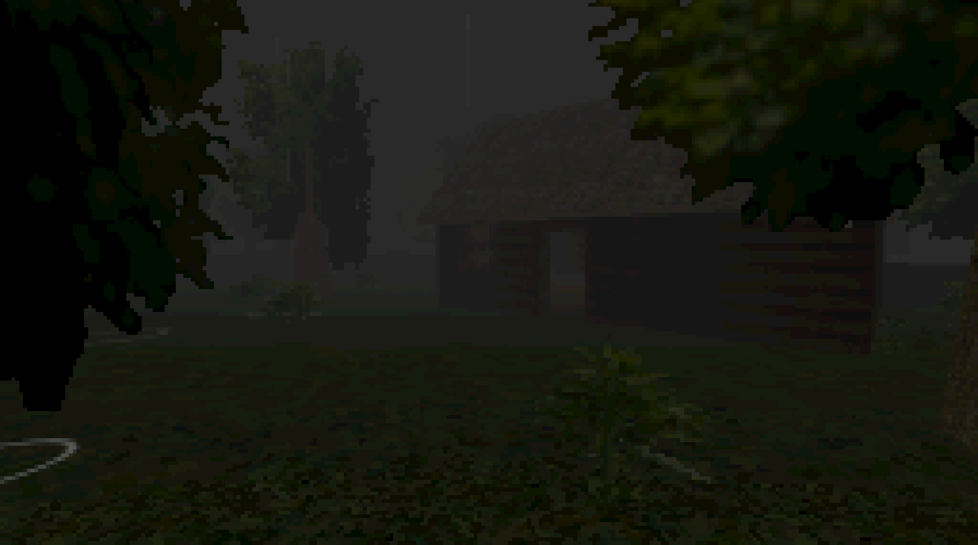 House in the woods cover