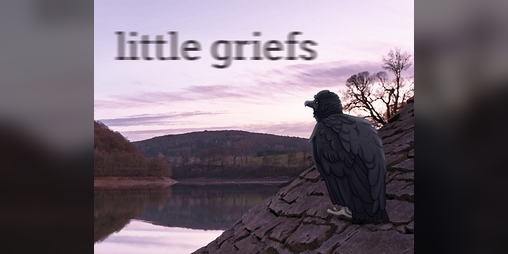 Cover image for little griefs