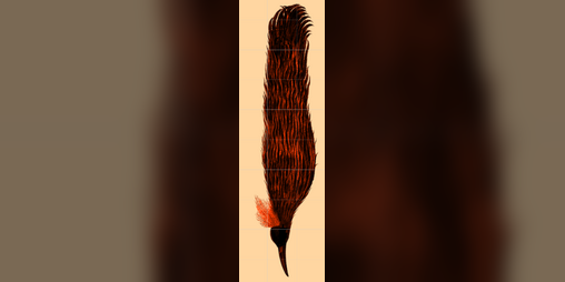 Cover image for The Crimson Feather
