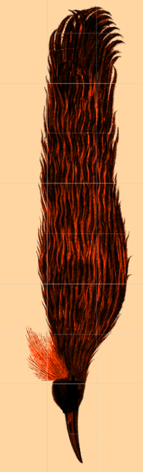 Cover image for The Crimson Feather