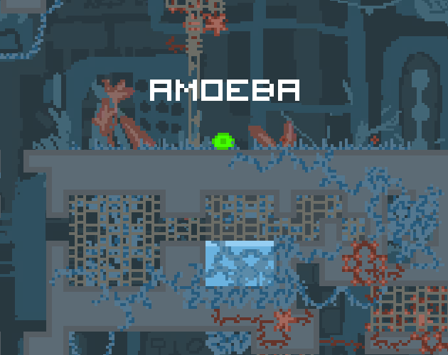 Cover image for Amoeba