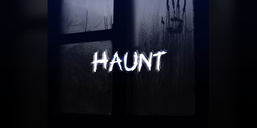 Cover image for Haunt
