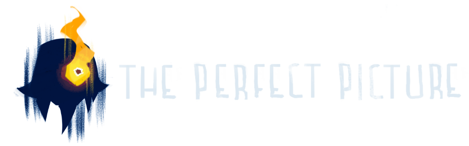 The Perfect Picture (Demo)