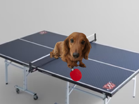 Cover image for Table Tennis With Winston
