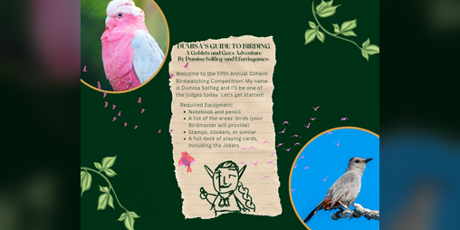 Cover image for Dumisa's Guide to Birding