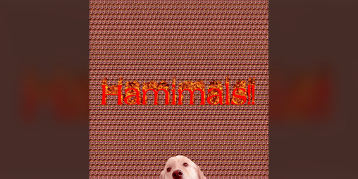 Cover image for Hamimals!!!