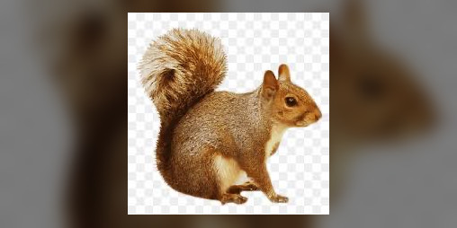Cover image for Super Squirrel Clicker (Original Version)