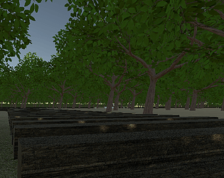 The Hight Forest