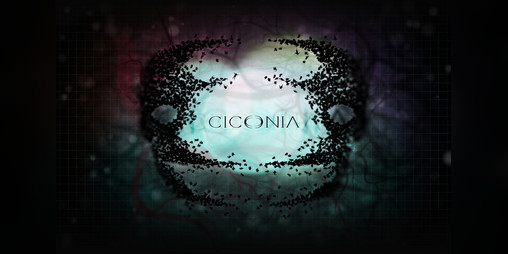 Cover image for Ciconia