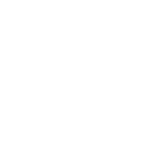 PixelBoy 1