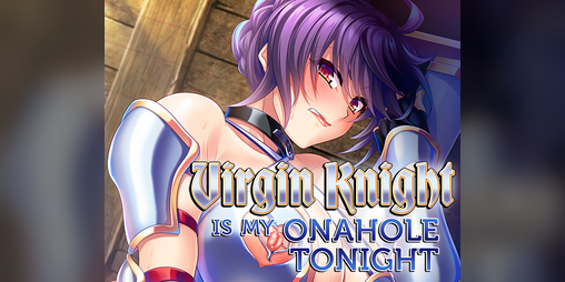 Cover image for Virgin Knight is my Onahole Tonight