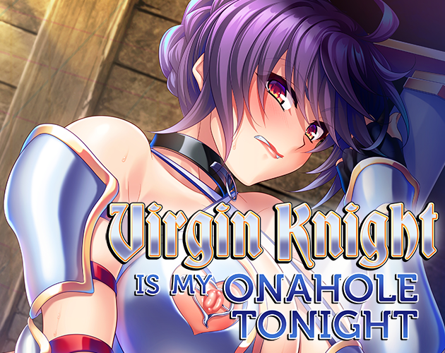Cover image for Virgin Knight is my Onahole Tonight