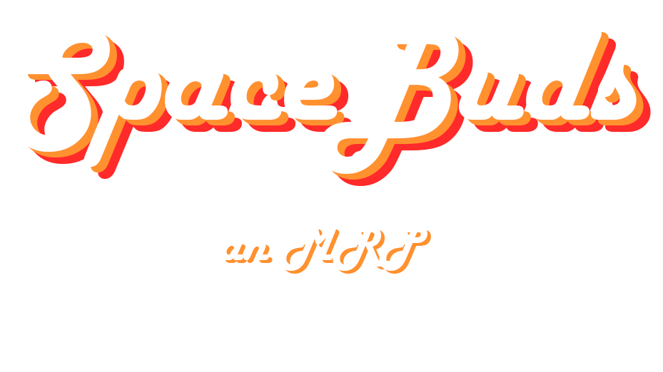 SpaceBuds : MRP